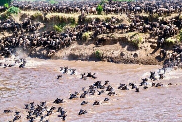 Luxury 5-Day Tanzania Lodge Safari: Tarangire, Serengeti & Ngorongoro photo 5