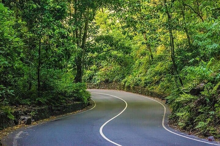 Ocho Rios Highlights: Fern Gully, Spice Mountain & Craft Market Tour photo 4