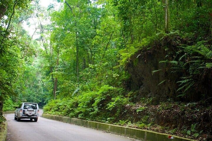 Ocho Rios Highlights: Fern Gully, Spice Mountain & Craft Market Tour