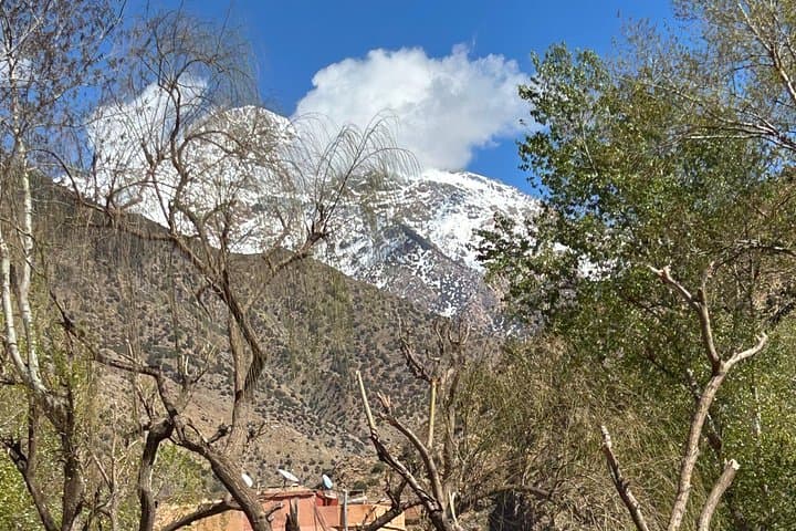 Atlas Mountains Full-Day Private Hike & Berber Culture Tour from Marrakech photo 1