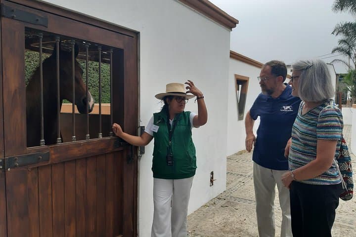 Hacienda El Paso Horse Show & Garden Lunch Day Trip from Lima photo 3