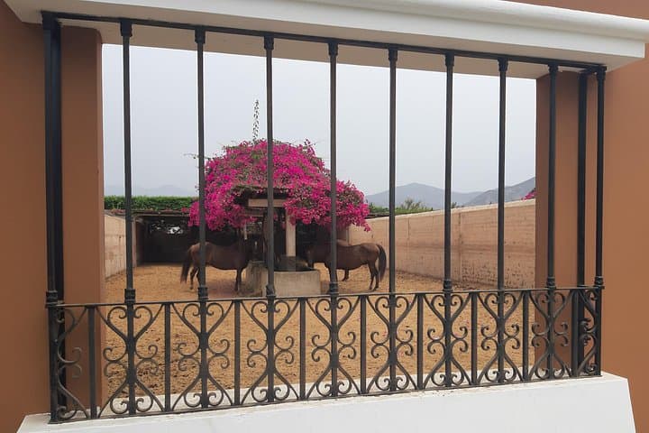 Hacienda El Paso Horse Show & Garden Lunch Day Trip from Lima photo 4