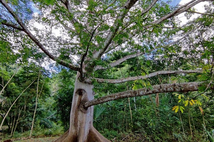 Ek Balam, Hubiku Cenote & Valladolid: Day Tour from Cancun photo 5
