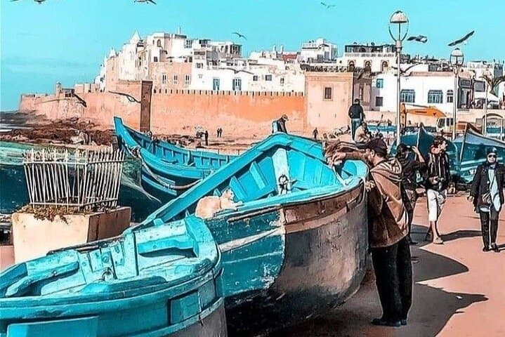 Essaouira Day Trip from Marrakech: Argan Forests, Medina & Atlantic Beaches