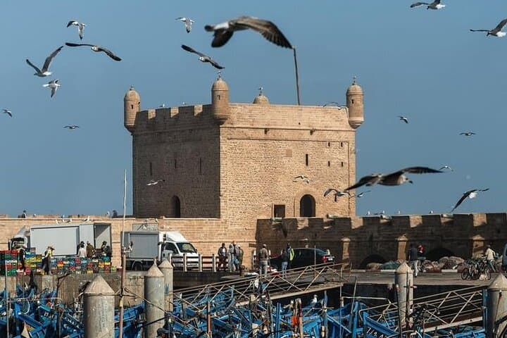 Essaouira Day Trip from Marrakech: Argan Forests, Medina & Atlantic Beaches photo 2