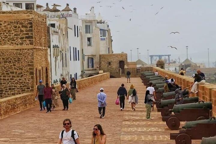 Essaouira Day Trip from Marrakech: Argan Forests, Medina & Atlantic Beaches photo 5