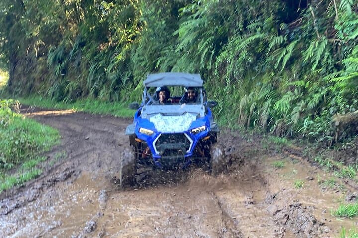Santana Off-Road Buggy Tour Through Madeira's Laurissilva Forest