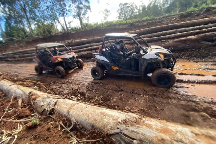 Santana Off-Road Buggy Tour Through Madeira's Laurissilva Forest photo 3