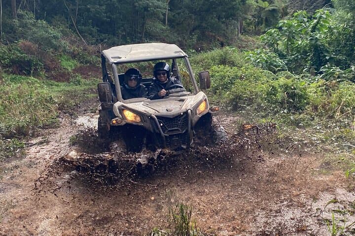 Santana Off-Road Buggy Tour Through Madeira's Laurissilva Forest photo 4