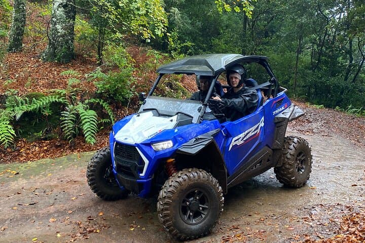 Santana Off-Road Buggy Tour Through Madeira's Laurissilva Forest photo 6