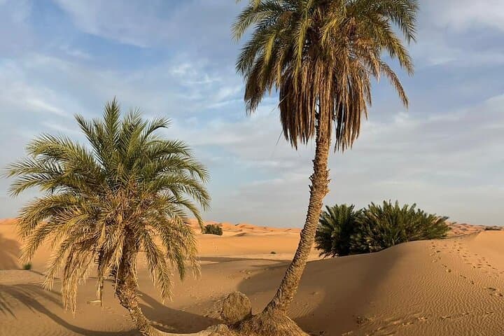 3-Day Luxury Marrakech to Erg Chebbi Sahara Desert Tour (Merzouga) photo 2