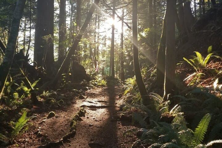 Squamish Trail Running Adventure: Guided Runs on Sea-to-Sky Trails photo 3