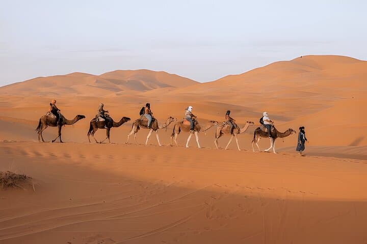 8-Day Morocco Desert & Imperial Cities Private Tour from Casablanca