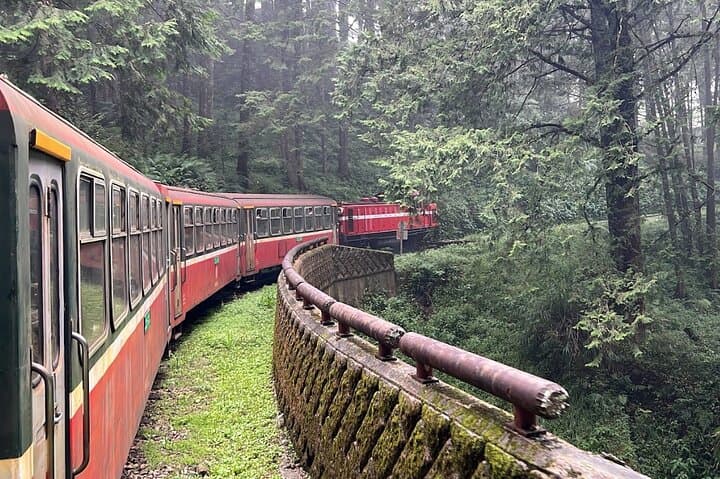 Alishan Day Tour from Kaohsiung: Ancient Forests, Sea of Clouds & Tsou Culture