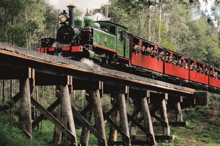 Puffing Billy to Phillip Island: Steam Train Ride and Penguin Parade Day Tour photo 3