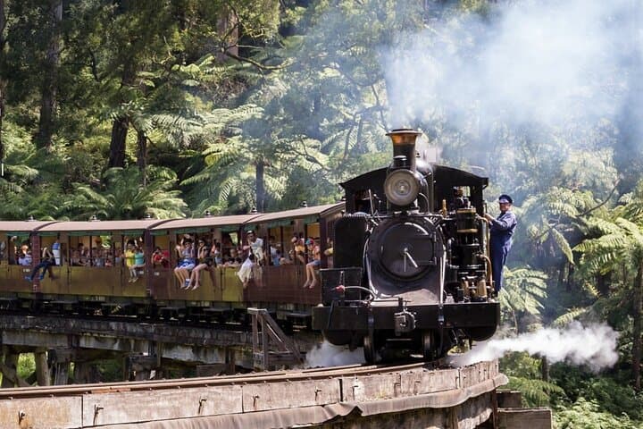 Puffing Billy to Phillip Island: Steam Train Ride and Penguin Parade Day Tour photo 4