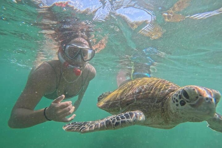Snorkel with Turtles in Mirissa — South Coast Snorkeling Adventure photo 3