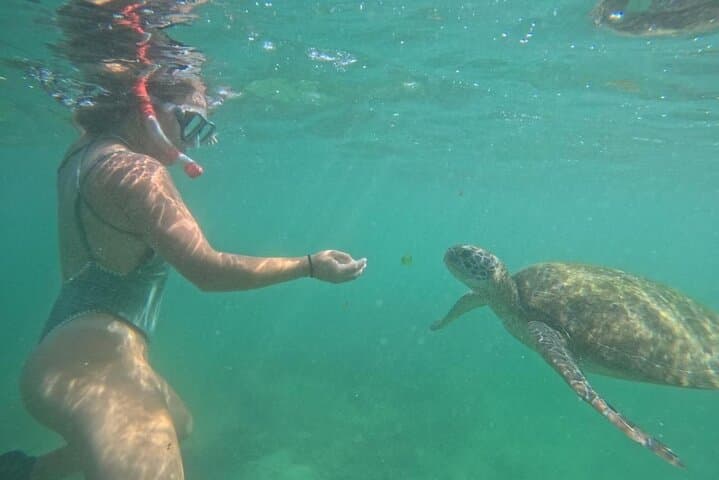 Snorkel with Turtles in Mirissa — South Coast Snorkeling Adventure photo 5