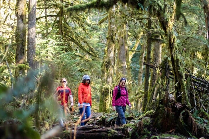Half-Day Guided Hike in Squamish — Coastal Rainforest to Alpine Viewpoints photo 2