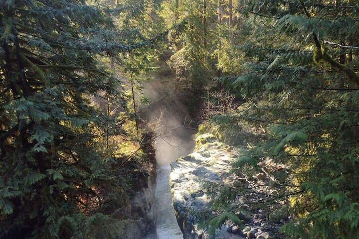 Half-Day Guided Hike in Squamish — Coastal Rainforest to Alpine Viewpoints photo 5