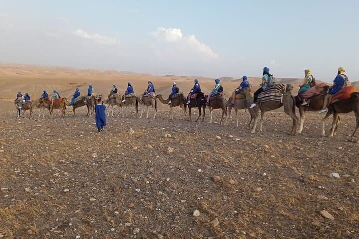 Camel Ride and Sunset Dinner in Morocco's Agafay Desert photo 5