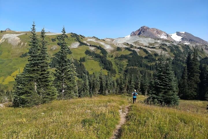 Sea to Sky Hiking Adventure: Guided Day Hike in Squamish’s Coastal Mountains photo 3
