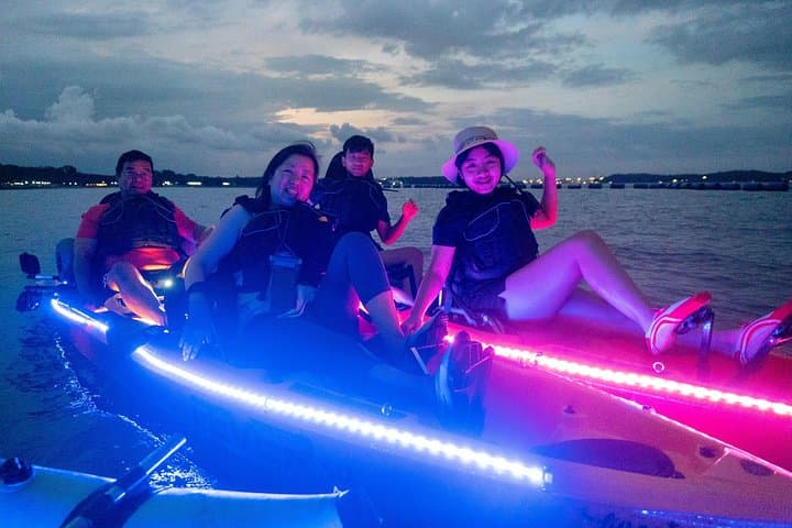 Glow Kayak Night Adventure in Singapore Mangroves