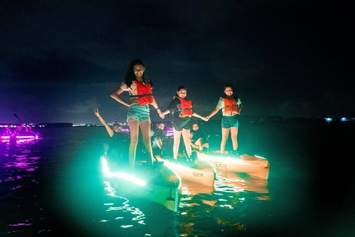 Glow Kayak Night Adventure in Singapore Mangroves photo 4