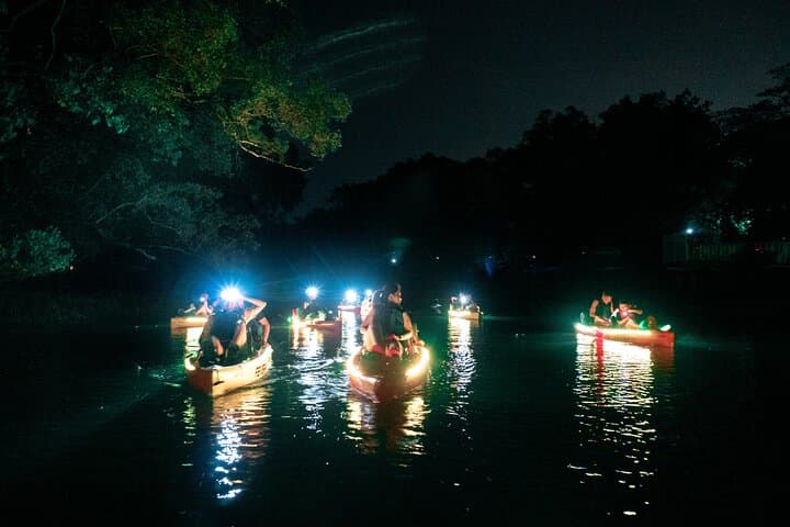 Glow Kayak Night Adventure in Singapore Mangroves photo 5