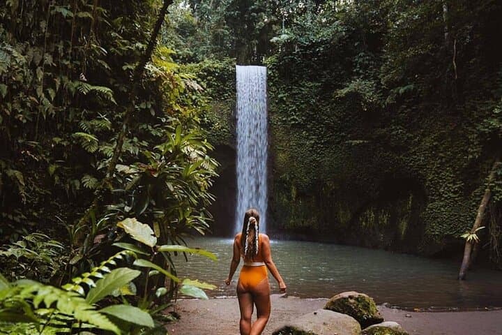 Ubud Waterfalls, Tirta Empul Temple & Tegalalang Rice Terraces Private Day Tour