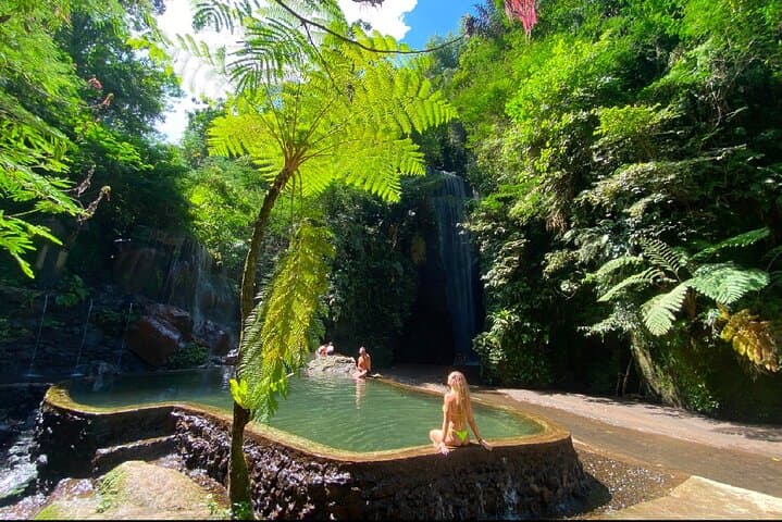 Ubud Waterfalls, Tirta Empul Temple & Tegalalang Rice Terraces Private Day Tour photo 3