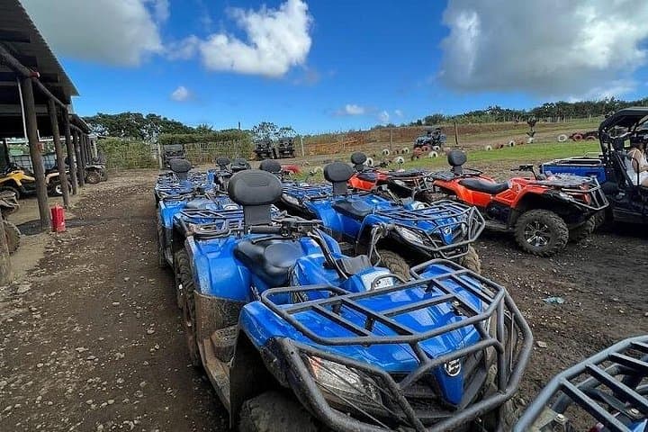 South Mauritius Exclusive: La Vanille & Vallée des Couleurs Full-Day Adventure photo 3