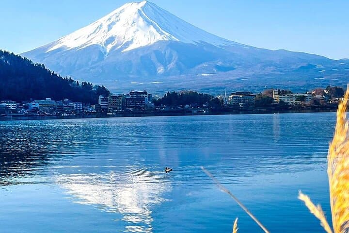 16-Day Japan and China Discovery: Private Guided Cultural and Scenic Highlights photo 3