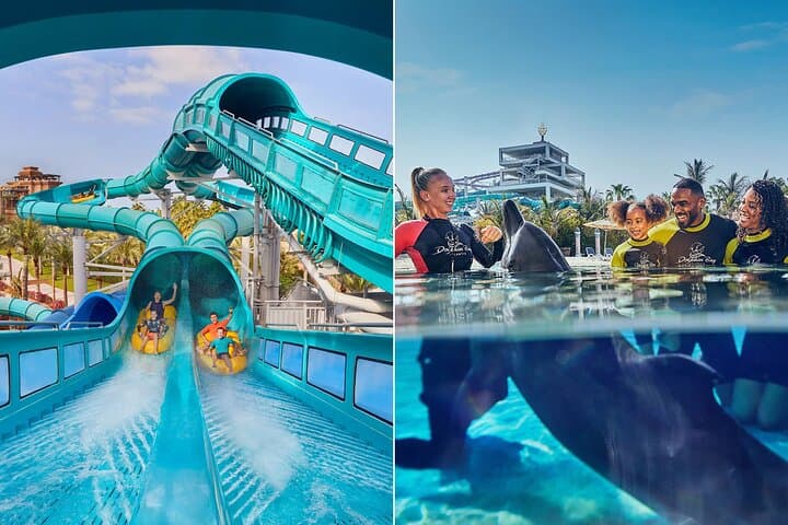 Dive and Thrill: Atlantis Aquaventure Waterpark & Lost Chambers Aquarium Dubai photo 3