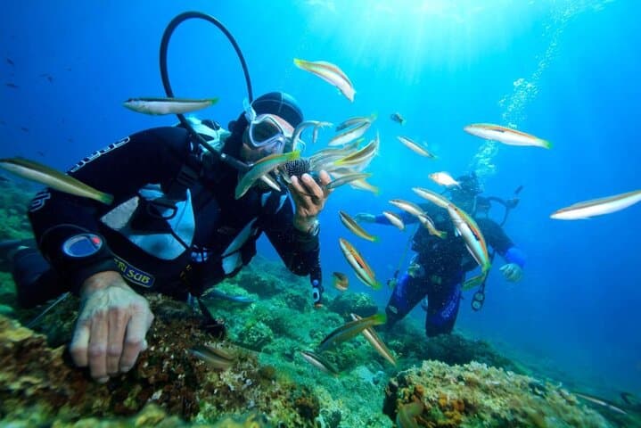Nha Trang Two-Dive Scuba Experience with Lunch at Marine Park photo 4