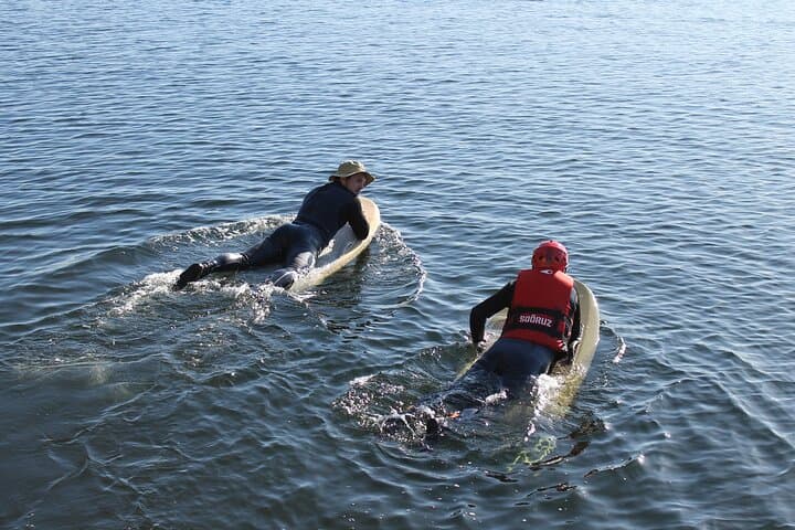 E-Foiling Oslo Fjord: Private Water Adventure & E‑Foil Rental photo 2