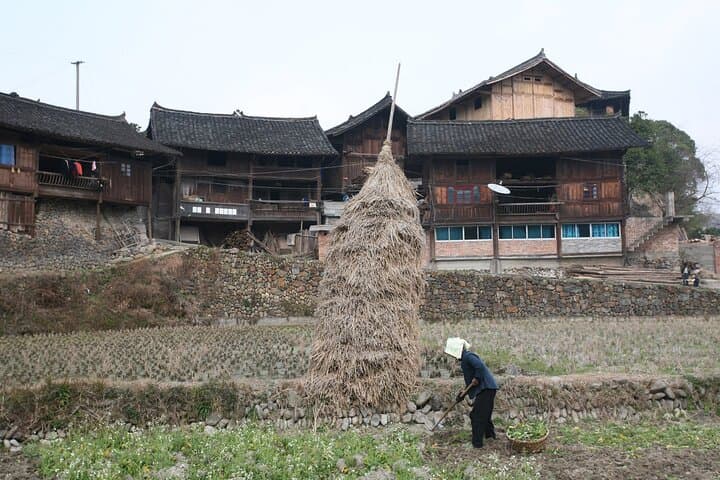 Dong Drum Towers & Terraced Fields: 1-Day Private Tour from Guilin to Congjiang photo 5