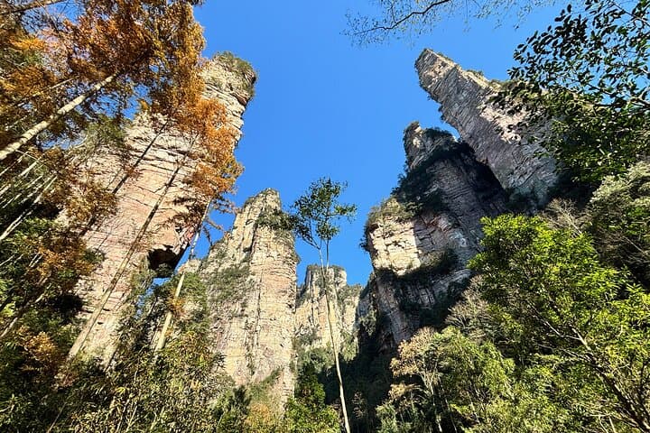 Zhangjiajie National Forest Park: Cable Cars, Bailong Elevator & 4-Day Pass Guide photo 4
