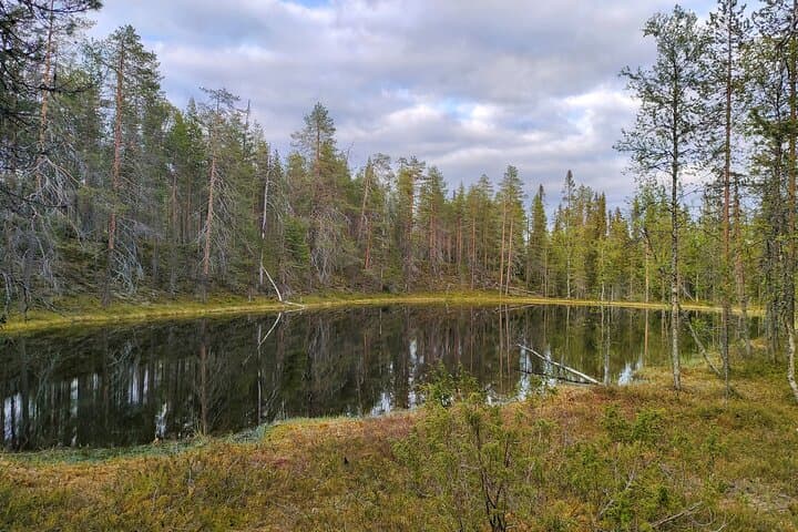 Private Hiking Tour in Pyhä–Luosto: Guided Lapland Hikes Under the Midnight Sun photo 6