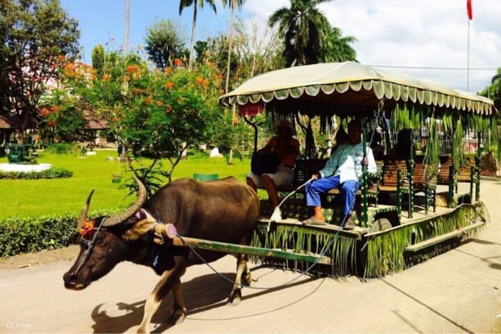 Villa Escudero Waterfall Restaurant, Carabao Cart & Bamboo Raft Cultural Day Trip