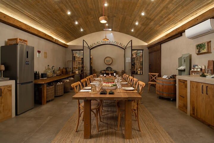 Andros Seafarers' Village & Half-Day Vineyard Wine Tasting photo 3