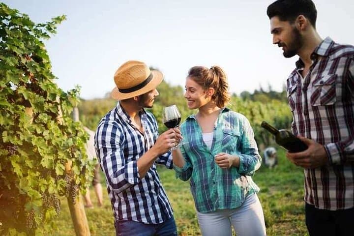 Andros Seafarers' Village & Half-Day Vineyard Wine Tasting
