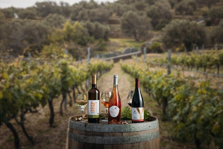 Andros Seafarers' Village & Half-Day Vineyard Wine Tasting photo 4
