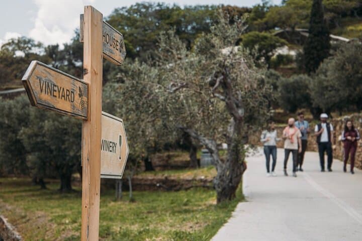 Andros Seafarers' Village & Half-Day Vineyard Wine Tasting photo 6