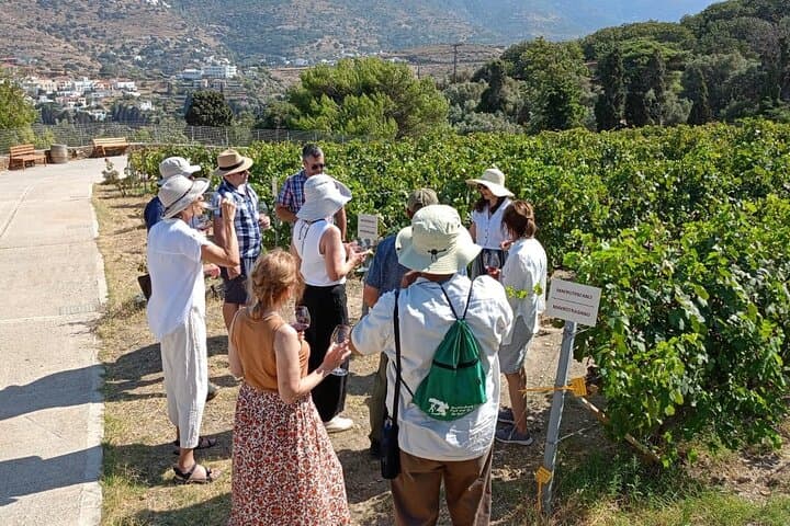 Andros Seafarers' Village & Half-Day Vineyard Wine Tasting photo 5