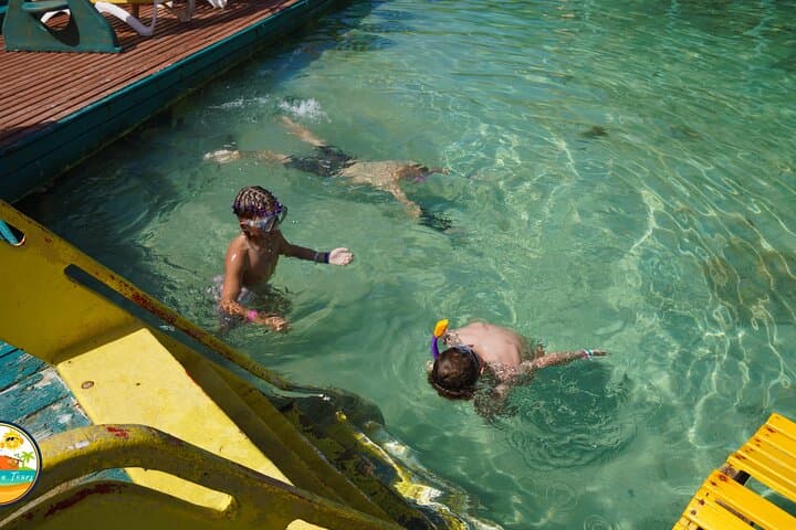 Private Customized Roatan Island Tour — Cruise-Friendly Custom Stops photo 3