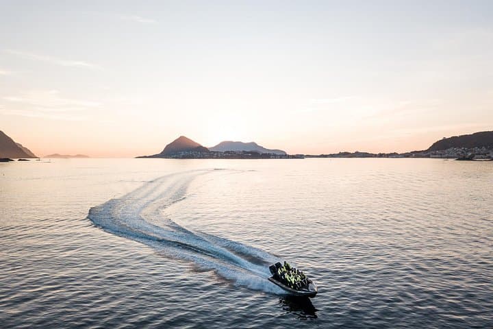Ålesund Wildlife Sea Safari: Puffins, Seabirds & Coastal Scenery