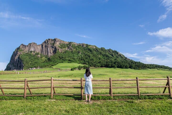 Private Jeju Highlight Tour for Cruise Layovers — Hyeopjae, Tea Fields & Waterfalls photo 3