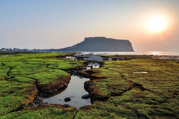Jeju West Coast Essentials: Hyeopjae Beach, Hallim Park & Tea Fields Private Day Tour photo 2