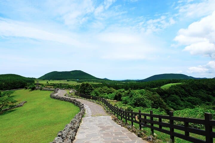 Customizable Full-Day Jeju Private Tour: East, West, South & Mt. Halla Options photo 2